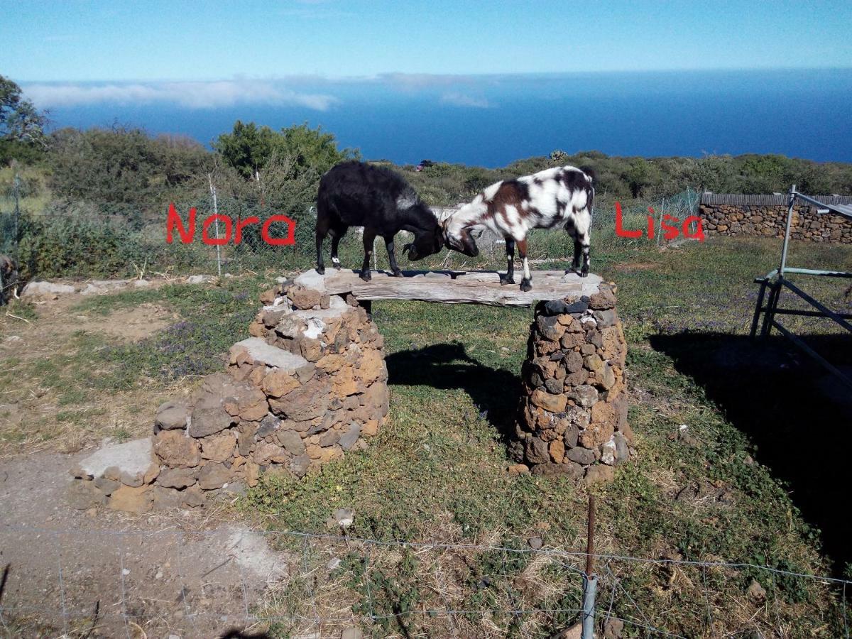 Finca La Ramona Isora Екстер'єр фото